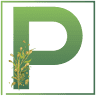 Pahare de Paste - Produse Religioase
