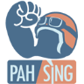 百勝安全帽 Pahsing Helmet