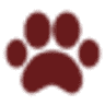 Piscataqua Animal Hospital