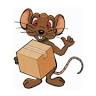Pak Rat Mini Storage