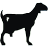 Palmatier Farms