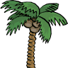 Palm Casual Patio Furniture Myrtle Beach