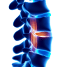 Palm Coast Health