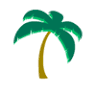 Palm Cove Yoga