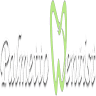 Palmetto Dentist, Dr. Larysa K. Smith