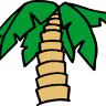 Palm Tree Sales