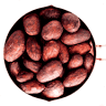 Panamir OÜ