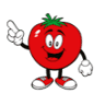 Pan pomidor 🍅 Polskie pomidory