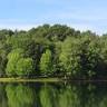 Paoli Community Park
