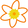 Paperdaisies
