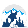 Park Animal Hospital Inc: Erickson Tara Y DVM