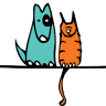 Park Hill Veterinary Medical Center