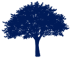 Park Meadows Church & Academy
