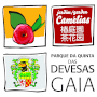 Devesas Park / Camellias Garden