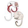 Veterinary legs and Whiskers