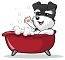 Paws & Effect, LLC