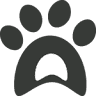 Paws Dog Day Care & Grooming