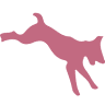 PAWS for Compassion