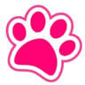 Pawsitive Animal Encounters, LLC