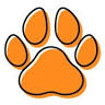 PawsnBoots