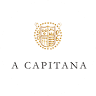 Pazo a Capitana