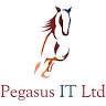 Pegasus IT Ltd