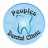 Peoples Dental Clinic - Dentist in Greater Noida | RCT | Wisdom tooth Extraction