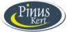 Pepiniera Pinus (SC LOKPINUS SRL) - plante ornamentale