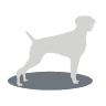 Pepper Dogs Raw Food
