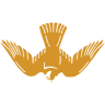 Peregrine Coffee Roasters