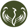 Pergamino