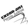 Excon-Art Pericia Judicial