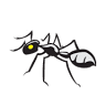 Perry Pest Control