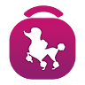 Persian Petshop