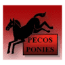 Pecos Elementary School