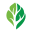 Peterson Financial Strategies