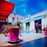 Petite Flower Guest House