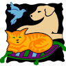 Pet Kare Clinic