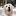 Pet Zone (Dog, Cat, Bird and Turtle Clinic)