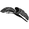 Phönix Modevertriebs GmbH
