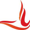 Phoenix Carpets and rugs ltd