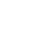 Phonester Store