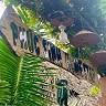 Phúc Sinh Homestay