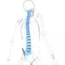 Physiotherapie - Massage - Training Christian Sobl