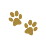 Physio-Vet