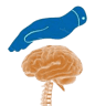 Physiosplus Limited