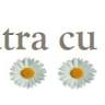 Pensiunea Piatra cu Noroc
