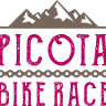 picota bike
