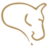Piedmont Equine Associates