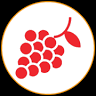 Piedmont Wine Tours, best food and wine experience Tour